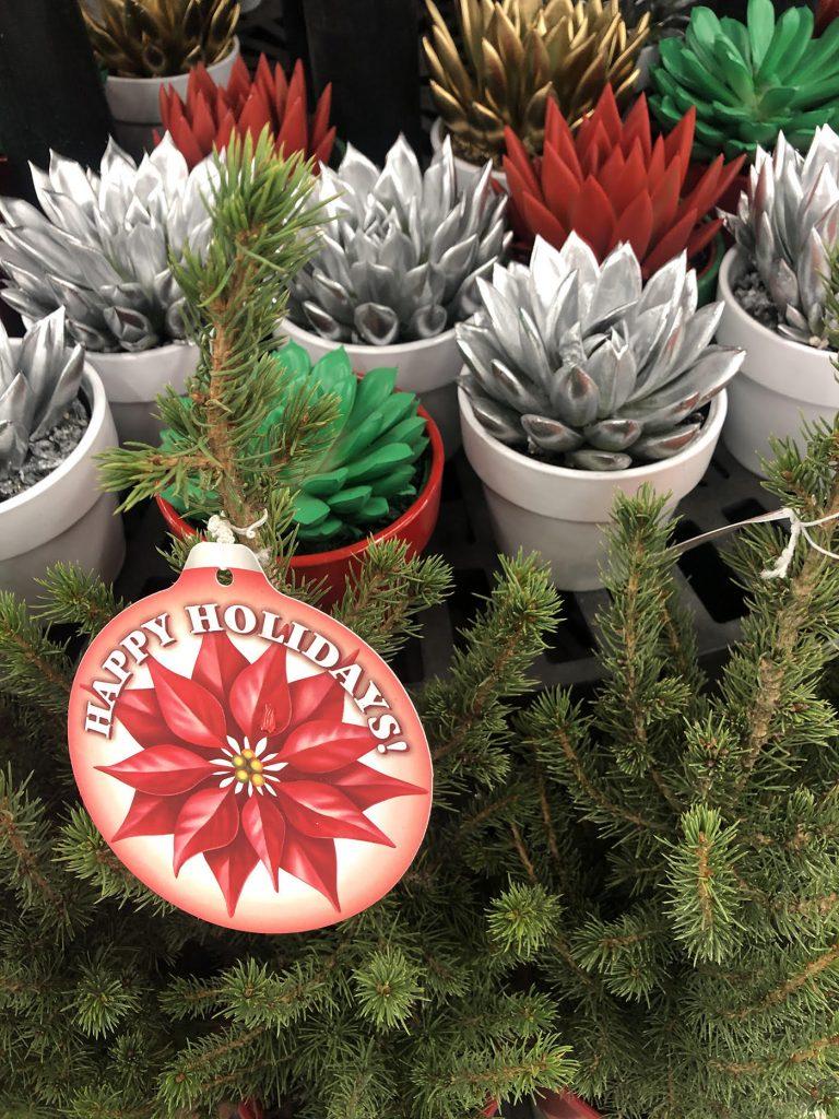 Too early for Christmas?