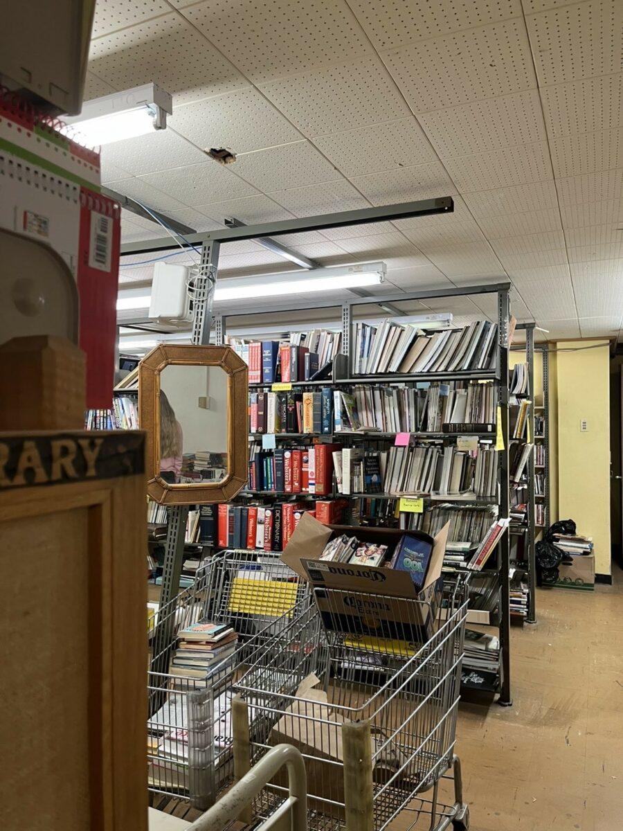 Haunting the Library Aisles Every Day