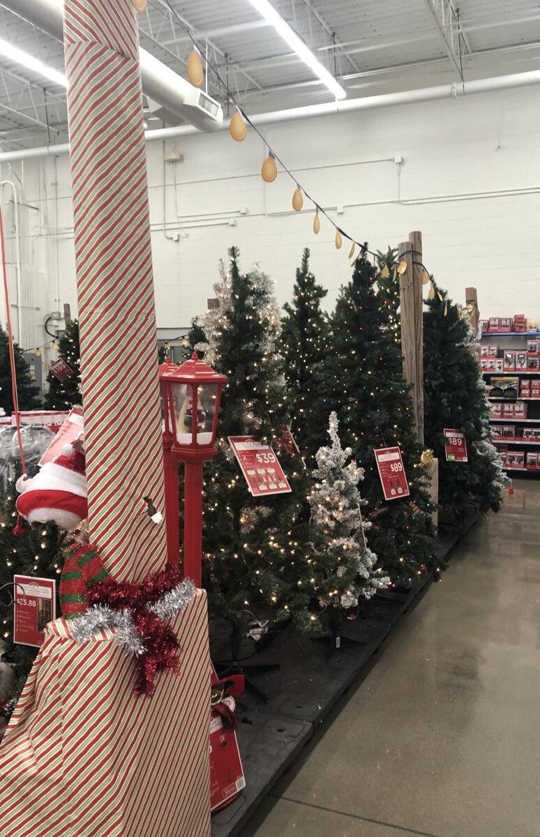 Too Early for Christmas?