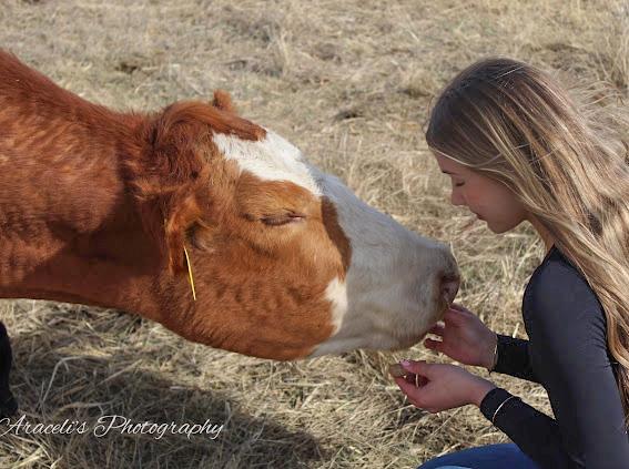 Jordan Stimpert shares a moment with one of her cows on the family farm near Bucklin.